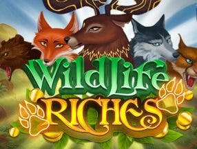casino app